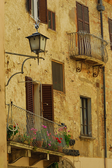 Flowers on the Balcony