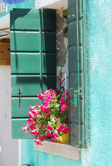 Teal Shutters with Pink Flowers