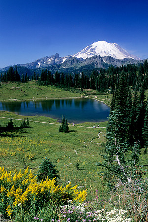 Mt. Rainier & Lake Tipsoo