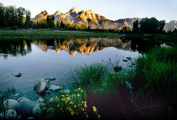 Sunrise Reflection at Scwabacher Landing