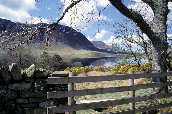 Fence to the Catbells