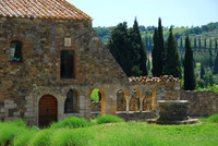 Abbey of Sant'Antimo with Cypress Trees