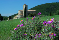 Abbey of Sant'Antimo with Wildflowers