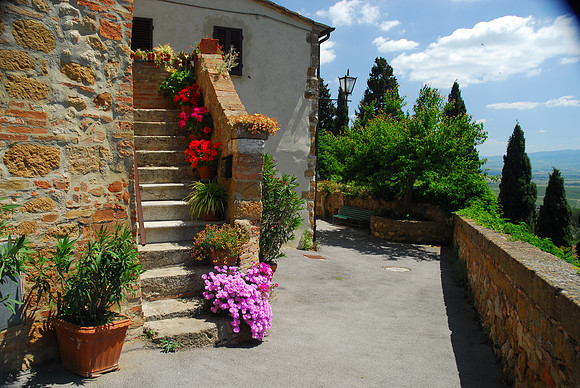 Steps with Geraniums
