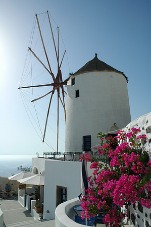 Windmill & Bougainvillea