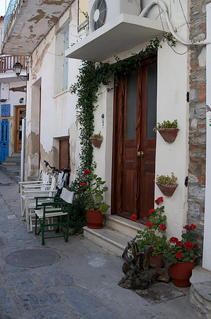 Doorway & Geraniums