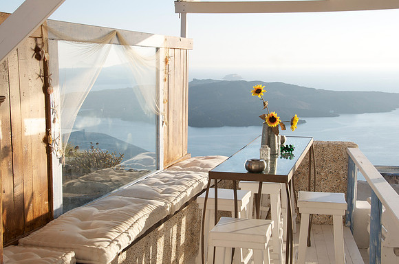 Sunflowers & Starfish