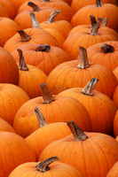 Pumpkins