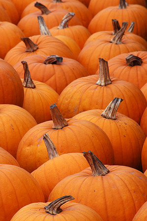 Pumpkins