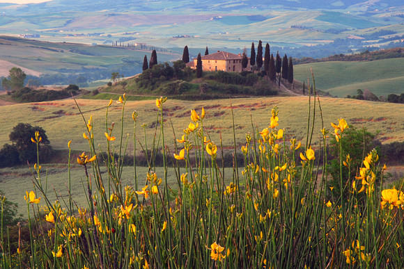 Tuscan Villa with Wildflowers