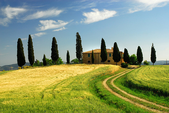 Farm Villa with Cypress Trees