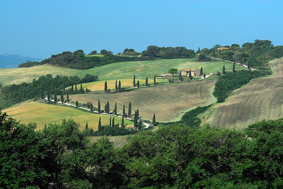 Winding Road with Cypress Trees