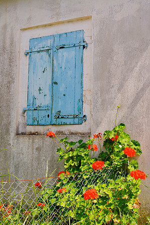 Blue Shutters & Red Geraniums