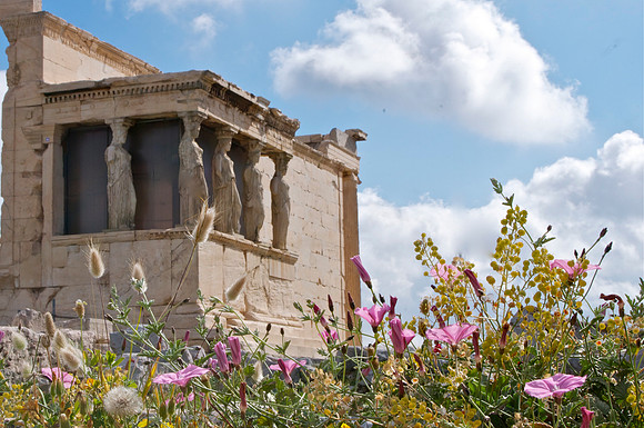 Erechtheum Maidens with Flowers