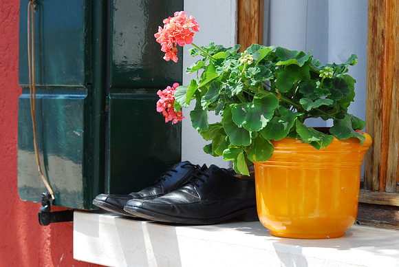 Shoes on the Window Ledge