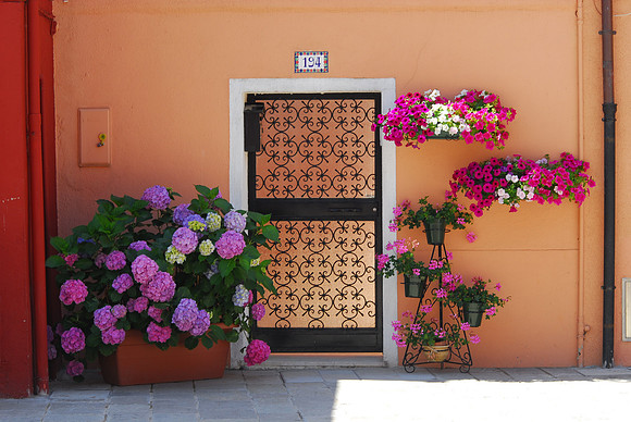 Decorated Gate with Hydrangeas