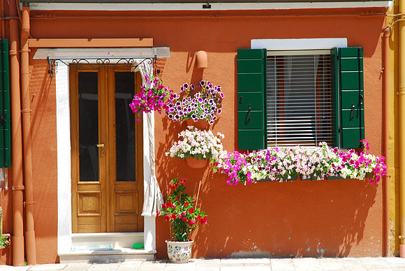 Green Shutter with Pansies