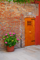 Brick Facade with Hydrangeas