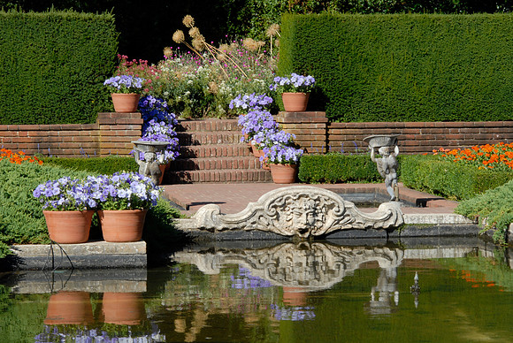 Gargolye & Potted Flowers
