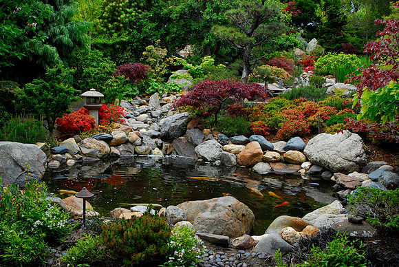Japanese Garden