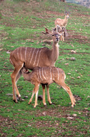Mama & Baby