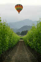 Ballooning over the Vineyards