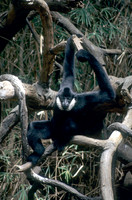 Just hanging around!