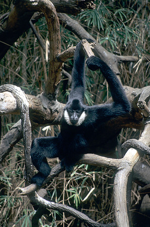 Just hanging around!